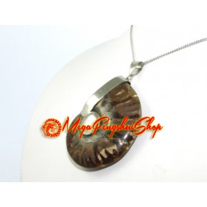 Ammonite Shell Pendant Necklace (L)