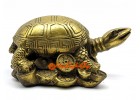 Brass Tortoise on Treasure