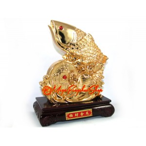 Feng Shui Golden Arowana with Coin (L)