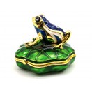 Feng Shui Money Frog In Lilypad
