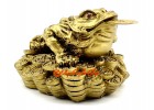 Feng Shui Money Frog with Coins for Wealth Luck
