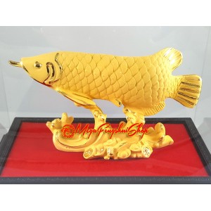 Feng Shui Wealth-Inviting Golden Arowana