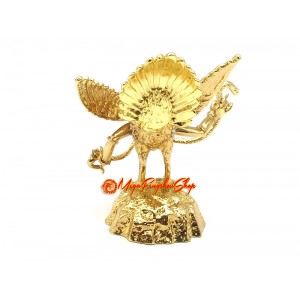 Garuda Bird for Protection Against Illness Star