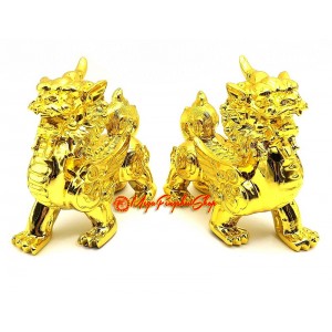 Golden Pair of Feng Shui Pi Yao