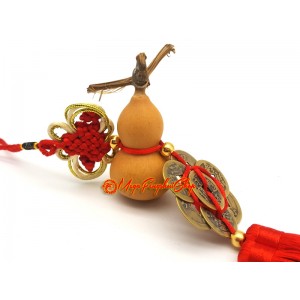 Natural Wu Lou with Eight Coins Feng Shui Tassel