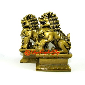 Pair of Feng Shui Fu Dogs for Protection